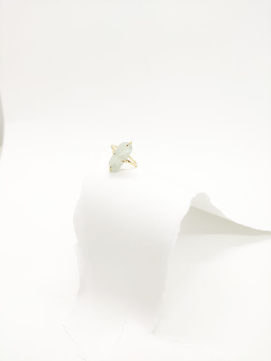 Bague Amarrée, Cherbourg