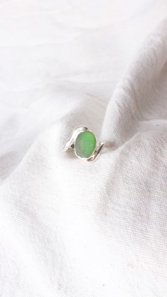 Bague Aube, Anglet
