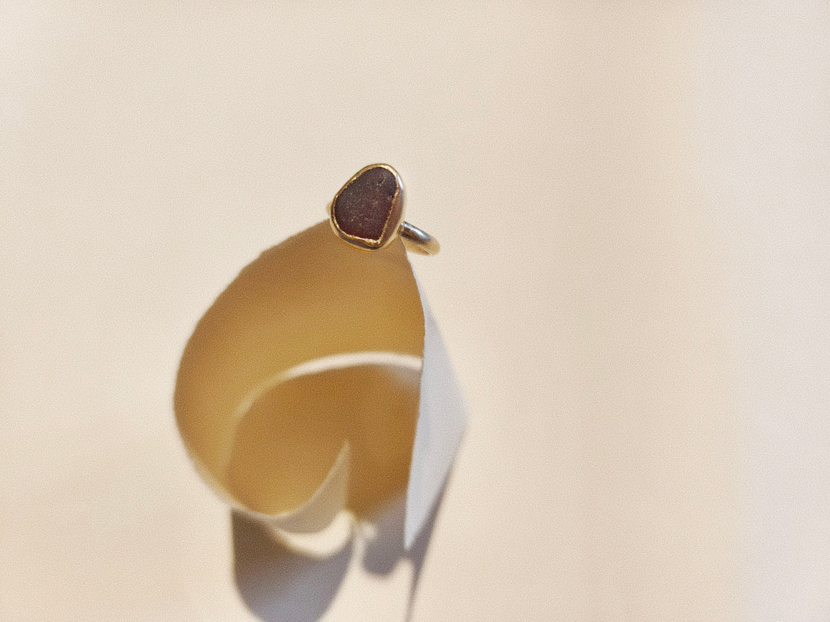 Bague Ancrée, Riec-sur-Belon